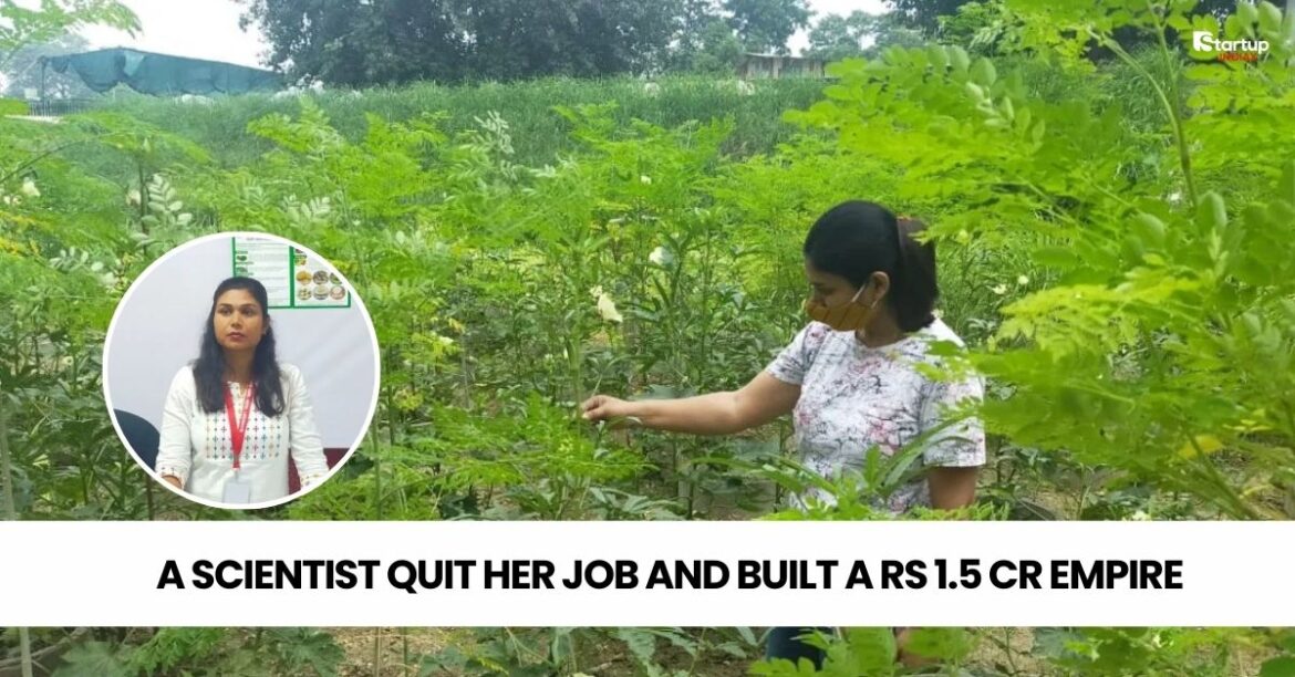 Moringa Farming Success How a Scientist Quit Her Job and Built a Rs 1.5 Cr Empire