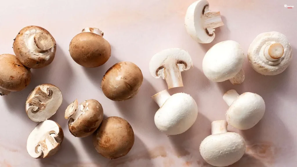 Button Mushrooms