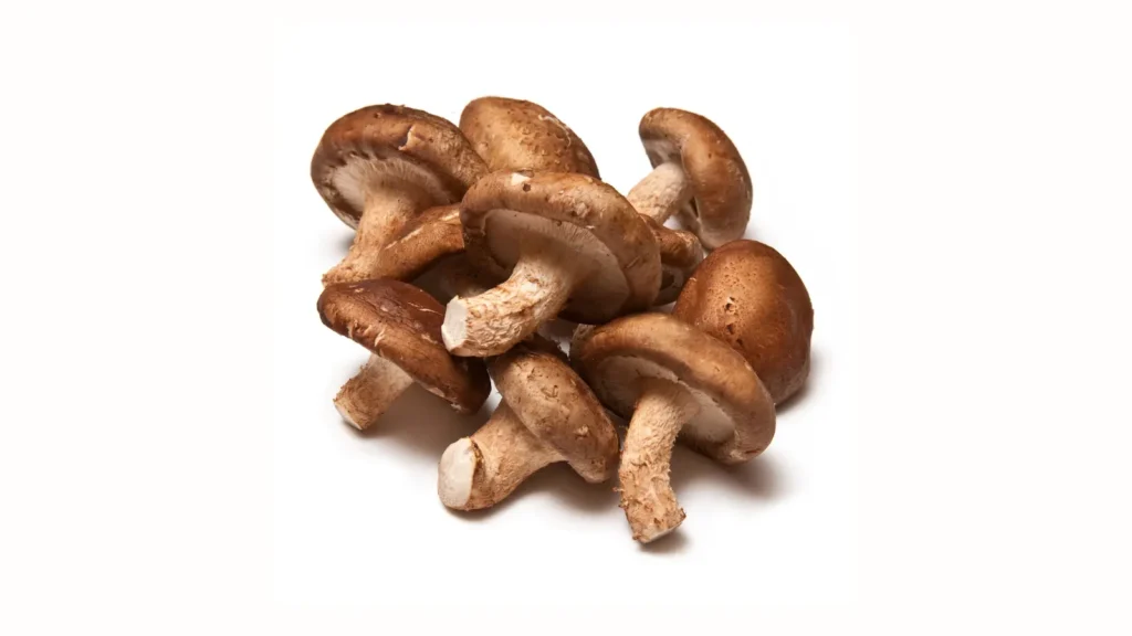 Shiitake Mushrooms