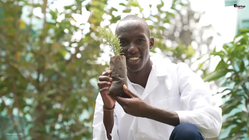 HyaPak biodegradable water hyacinth seedling bag being planted in soil Kenya